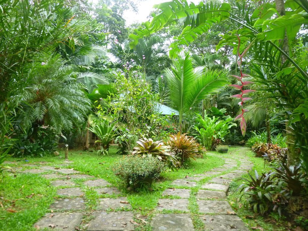 El Nido Jungle Lodge Puerto Viejo de Talamanca Cameră foto