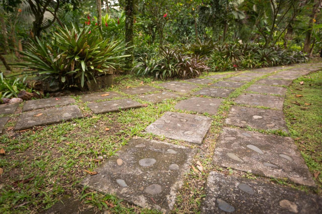 El Nido Jungle Lodge Puerto Viejo de Talamanca Exterior foto