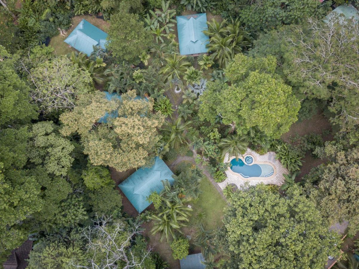 El Nido Jungle Lodge Puerto Viejo de Talamanca Exterior foto