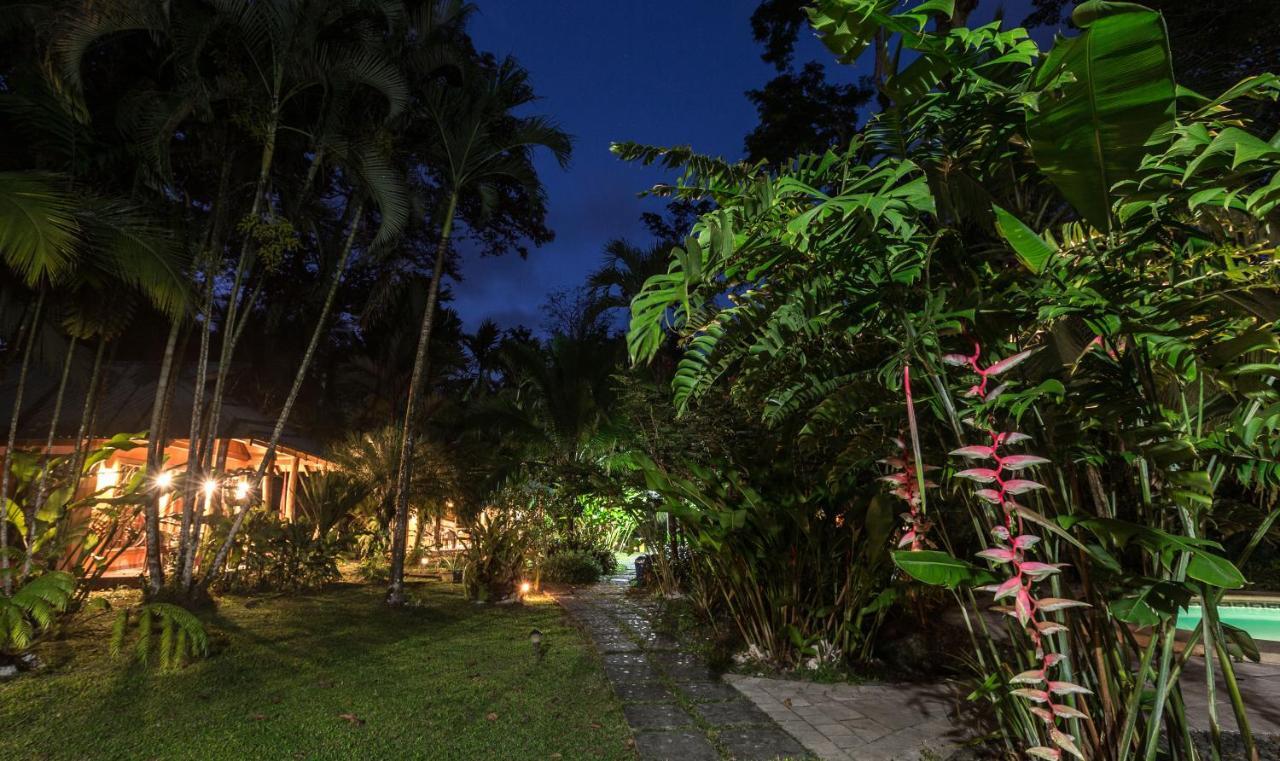 El Nido Jungle Lodge Puerto Viejo de Talamanca Exterior foto
